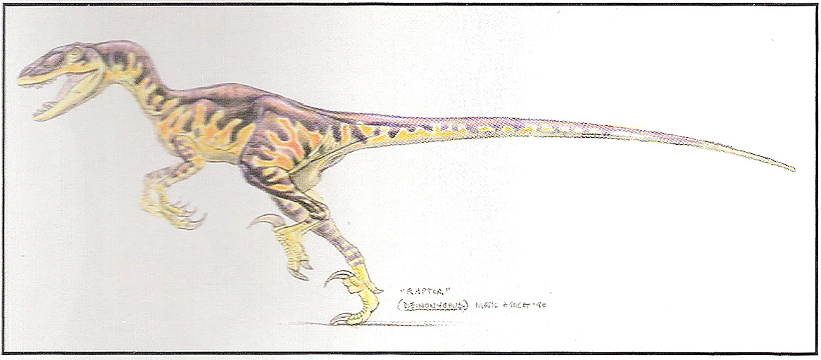 Velociraptor Practical Effects Jp Jurassic Pedia 