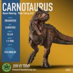 Carnotaurus sastrei (S/F)
